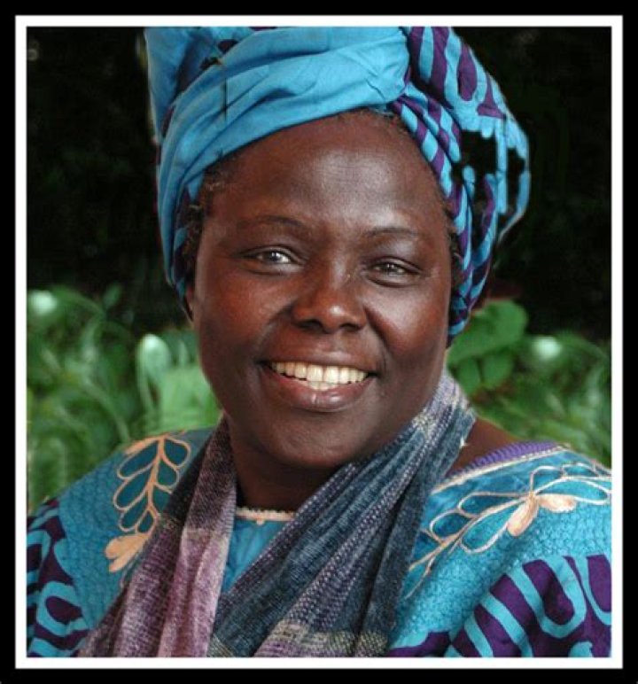 Unveiling the Life and Achievements of Korina Harrison